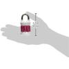Master Lock Word Combination Lock, Set Your Own Word Letter Lock for Gym and School Lockers, Indoor Combo Padlock, Colors May Vary, 1535DWD(Word Combo  Color May Vary)