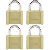 Master Lock Brass Combination Padlock for Indoor and Outdoor use with Resettable Combination for Gym Locker, Gate, Fence, or Shed Lock, 175D(40 Pack)