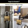 Master Lock Combination Lock, Heavy Duty Weatherproof Padlock, Resettable for Outdoor Use, Brass Finish, M175XDLF(1.2 x 2 x 3.87 inches)